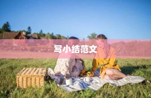 写小结范文