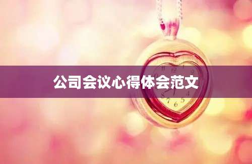 公司会议心得体会范文