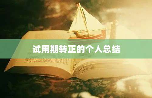 试用期转正的个人总结