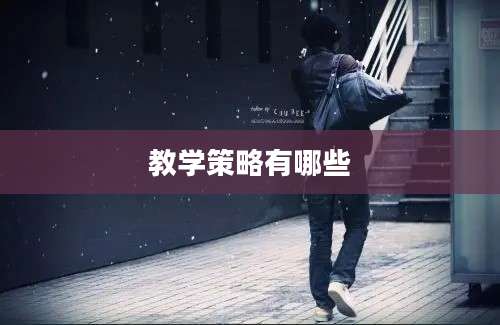 教学策略有哪些
