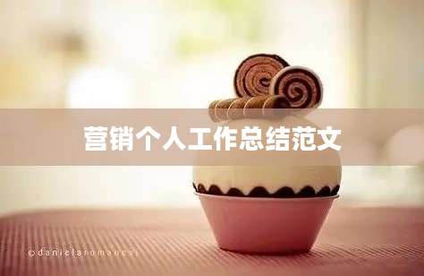 营销个人工作总结范文