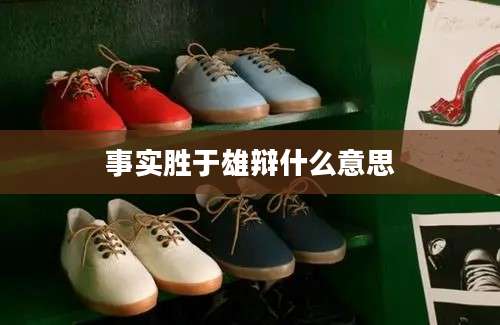 事实胜于雄辩什么意思