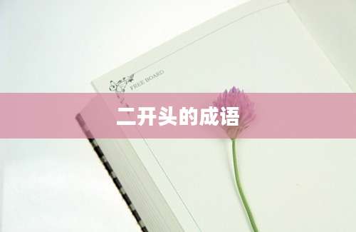 二开头的成语