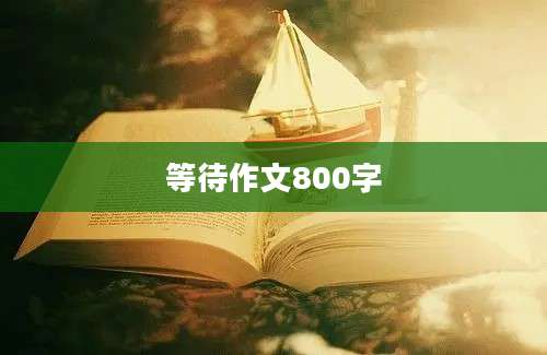 等待作文800字
