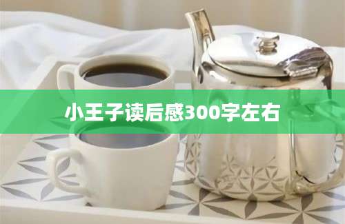 小王子读后感300字左右