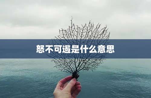 怒不可遏是什么意思