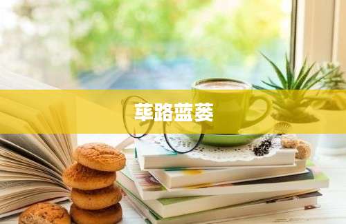 荜路蓝蒌