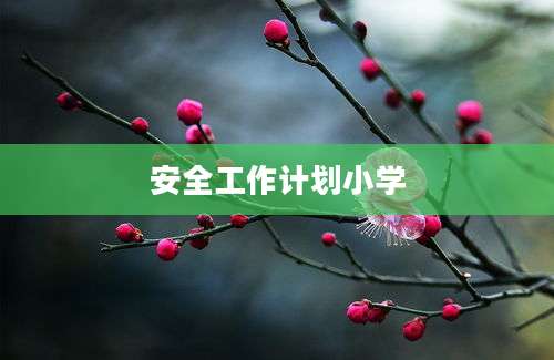 安全工作计划小学