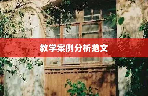 教学案例分析范文