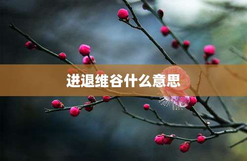 进退维谷什么意思