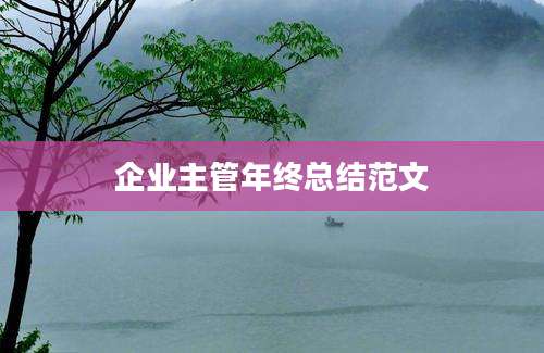 企业主管年终总结范文