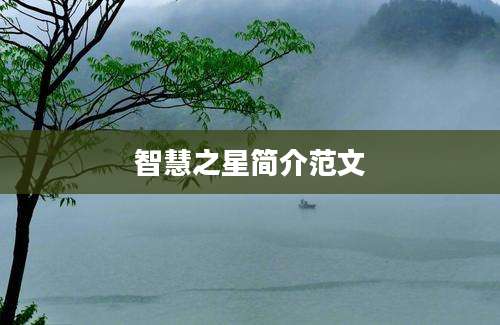 智慧之星简介范文