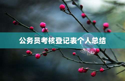 公务员考核登记表个人总结