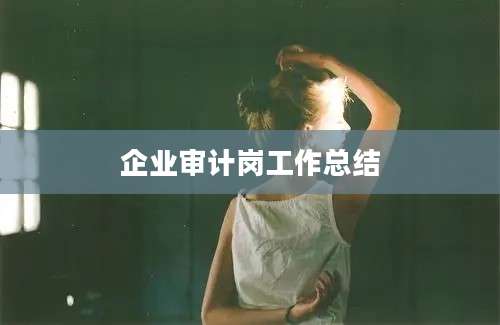 企业审计岗工作总结