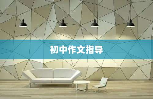 初中作文指导
