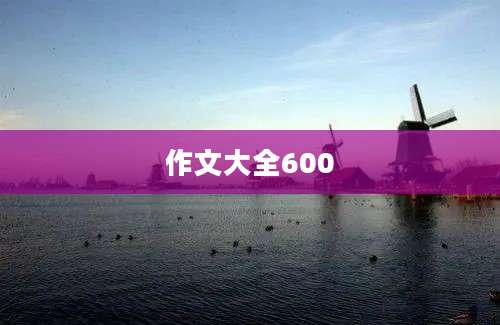 作文大全600