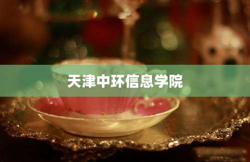 天津中环信息学院