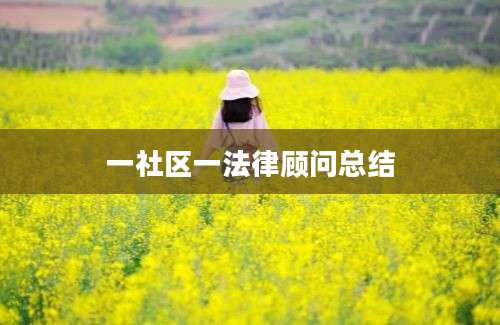 一社区一法律顾问总结
