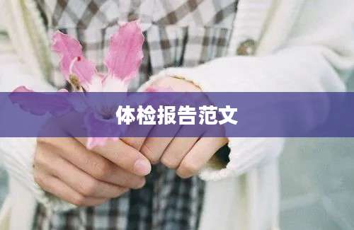 体检报告范文