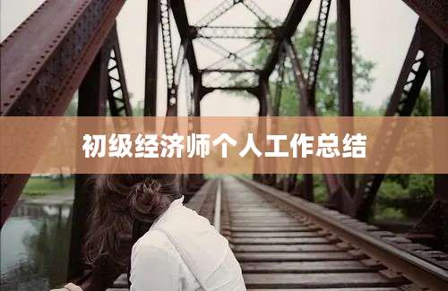 初级经济师个人工作总结