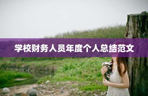 学校财务人员年度个人总结范文