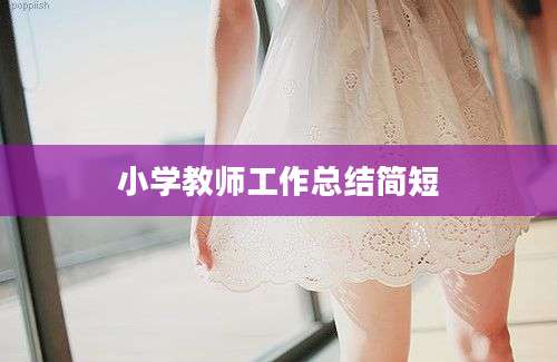 小学教师工作总结简短