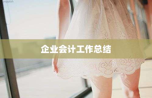 企业会计工作总结
