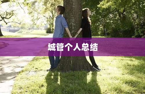 城管个人总结