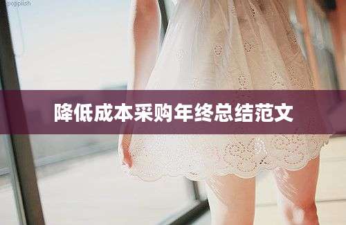 降低成本采购年终总结范文