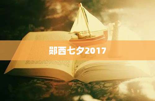 郧西七夕2017