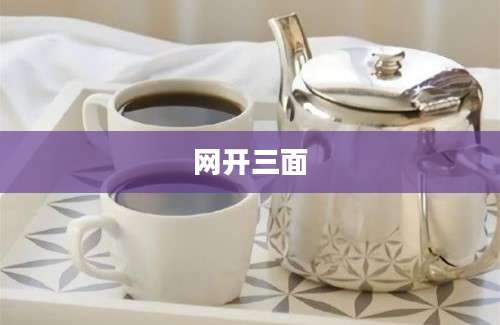 网开三面
