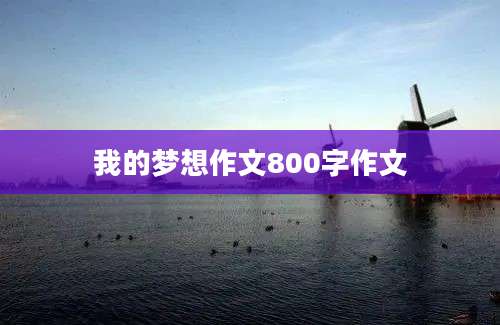 我的梦想作文800字作文