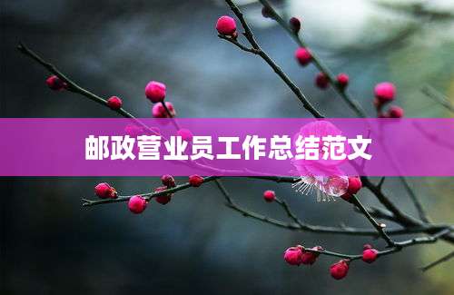 邮政营业员工作总结范文