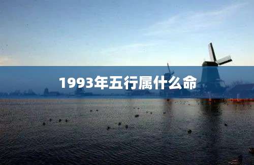 1993年五行属什么命