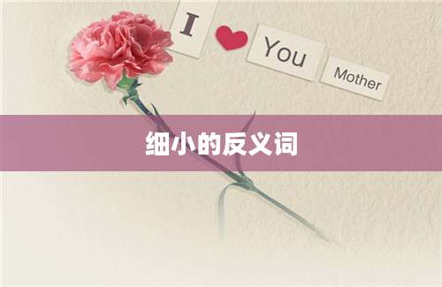 细小的反义词