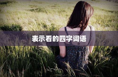表示看的四字词语