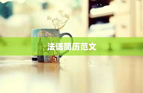 法语简历范文