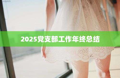 2025党支部工作年终总结