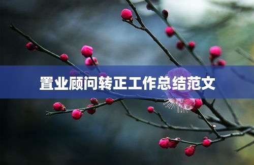 置业顾问转正工作总结范文