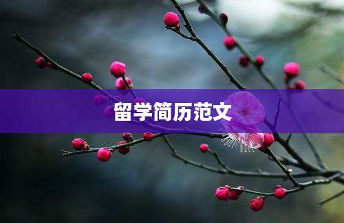 留学简历范文