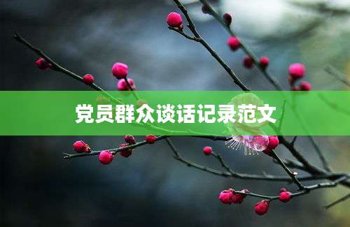 党员群众谈话记录范文