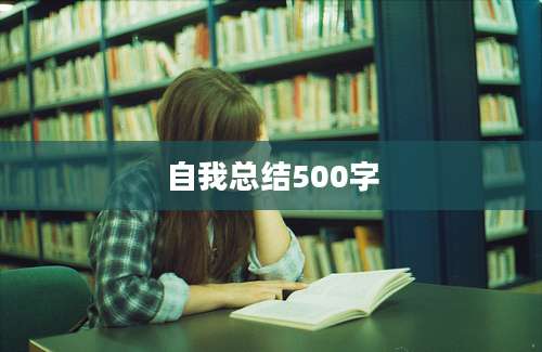 自我总结500字
