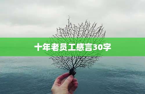 十年老员工感言30字