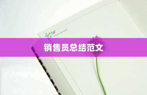 销售员总结范文