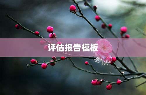 评估报告模板