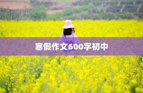 寒假作文600字初中