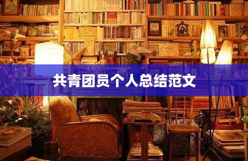 共青团员个人总结范文