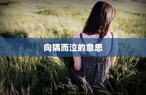 向隅而泣的意思