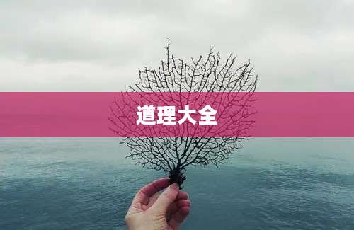 道理大全