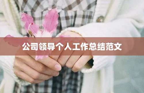 公司领导个人工作总结范文